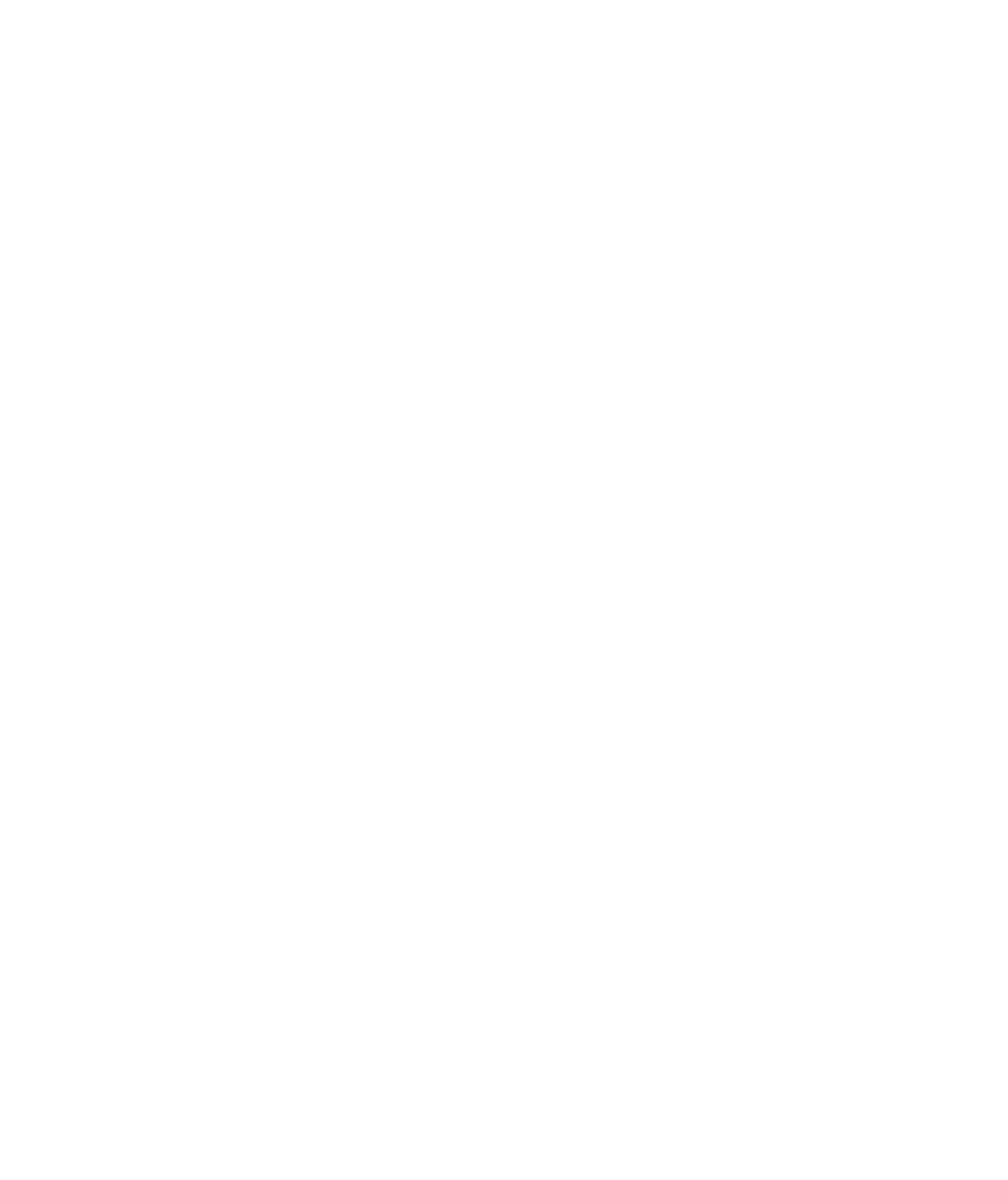 EVE — Vision Beyond Limits